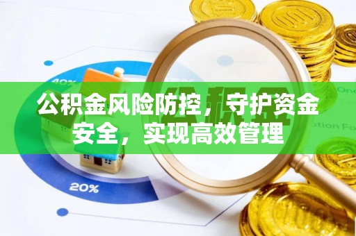 大溪公积金风险防控，守护资金安全，实现高效管理