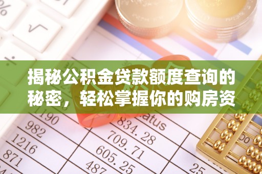 大溪揭秘公积金贷款额度查询的秘密，轻松掌握你的购房资金