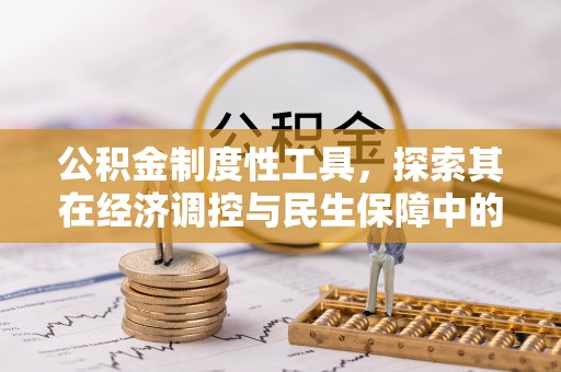 大溪公积金制度性工具，探索其在经济调控与民生保障中的重要作用