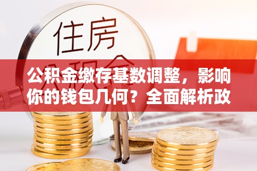 大溪公积金缴存基数调整，影响你的钱包几何？全面解析政策与实际收益