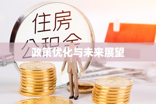 大溪政策优化与未来展望