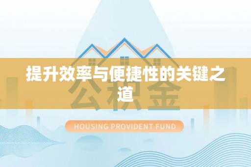 大溪提升效率与便捷性的关键之道