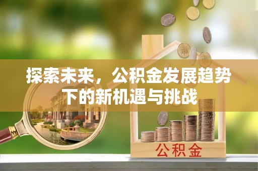 大溪探索未来，公积金发展趋势下的新机遇与挑战