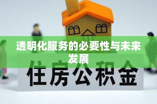 大溪透明化服务的必要性与未来发展