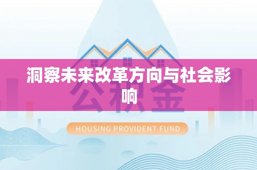 大溪洞察未来改革方向与社会影响