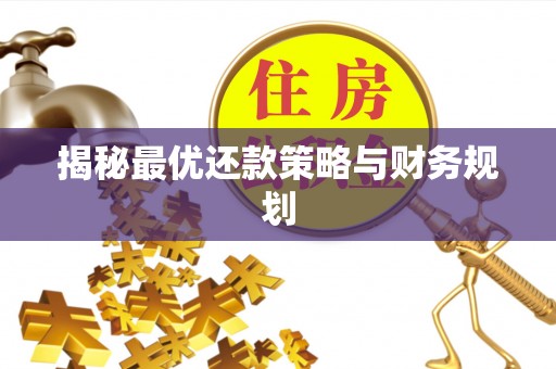 大溪揭秘最优还款策略与财务规划