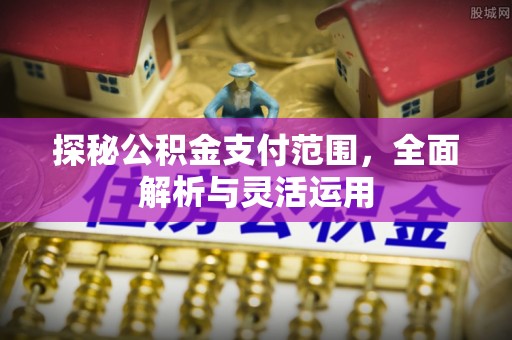 大溪探秘公积金支付范围，全面解析与灵活运用