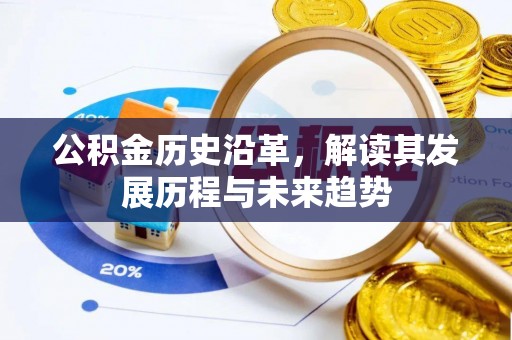 大溪公积金历史沿革，解读其发展历程与未来趋势