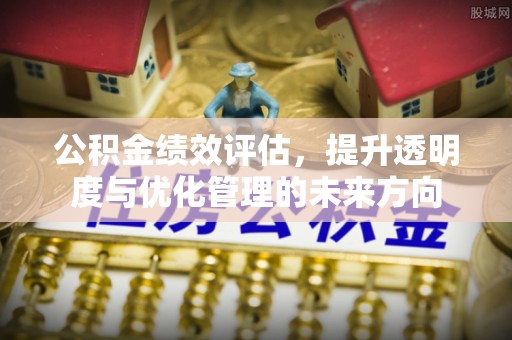 大溪公积金绩效评估，提升透明度与优化管理的未来方向