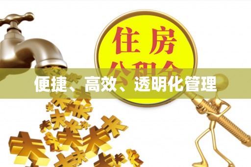 大溪便捷、高效、透明化管理