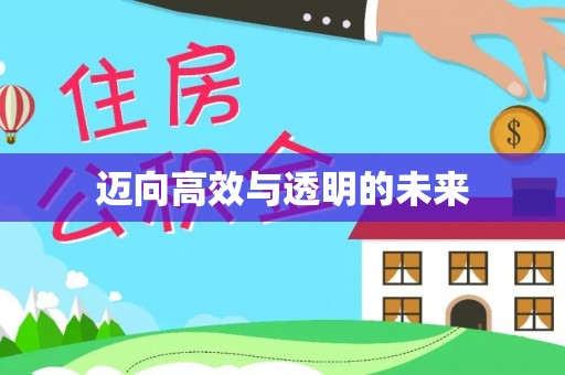 大溪迈向高效与透明的未来