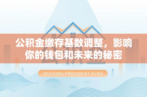 大溪公积金缴存基数调整，影响你的钱包和未来的秘密