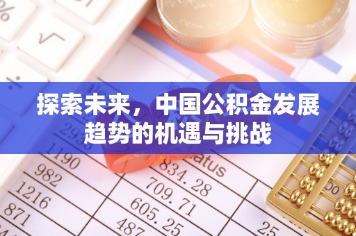 大溪探索未来，中国公积金发展趋势的机遇与挑战