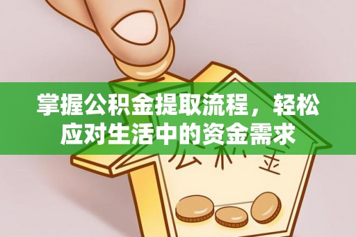 大溪掌握公积金提取流程，轻松应对生活中的资金需求