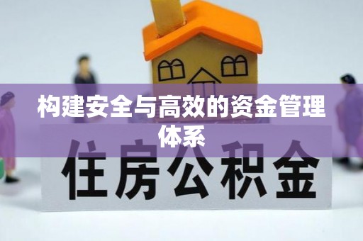 大溪构建安全与高效的资金管理体系