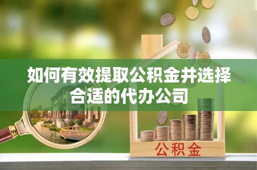 大溪如何有效提取公积金并选择合适的代办公司
