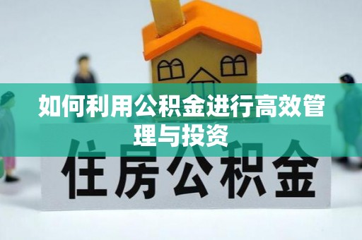 大溪如何利用公积金进行高效管理与投资