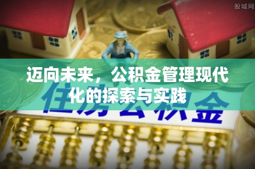 大溪迈向未来，公积金管理现代化的探索与实践
