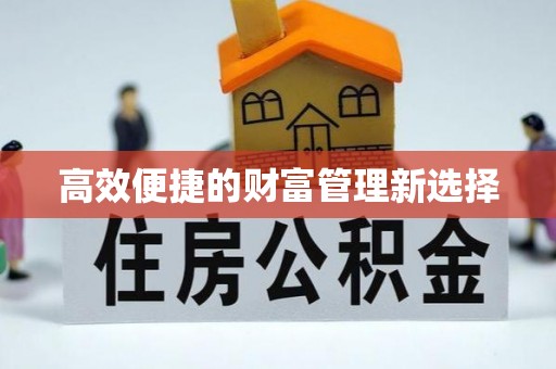 大溪高效便捷的财富管理新选择