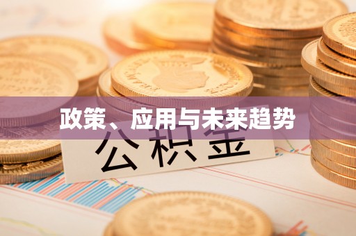 大溪政策、应用与未来趋势