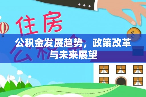 大溪公积金发展趋势，政策改革与未来展望