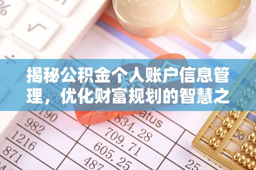 大溪揭秘公积金个人账户信息管理，优化财富规划的智慧之选