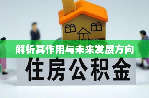 大溪解析其作用与未来发展方向