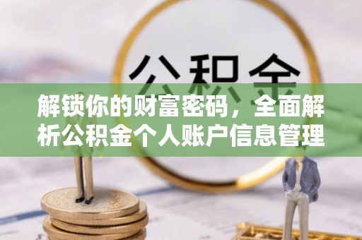 大溪解锁你的财富密码，全面解析公积金个人账户信息管理与优化
