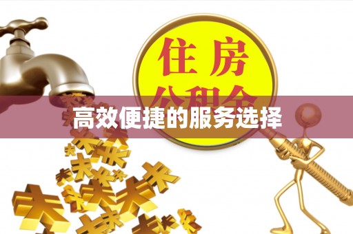 大溪高效便捷的服务选择