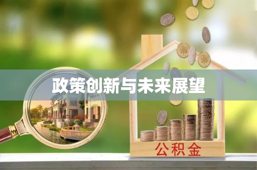 大溪政策创新与未来展望