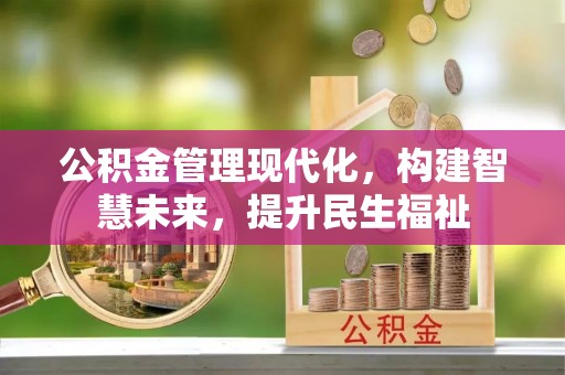 大溪公积金管理现代化，构建智慧未来，提升民生福祉