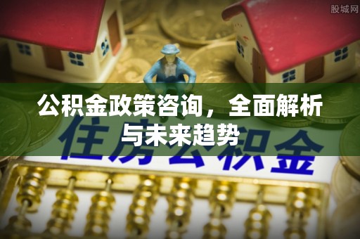 大溪公积金政策咨询，全面解析与未来趋势