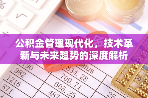 大溪公积金管理现代化，技术革新与未来趋势的深度解析