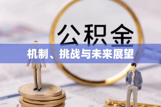 大溪机制、挑战与未来展望